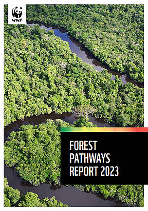 Forest Pathways Report 2023 cover