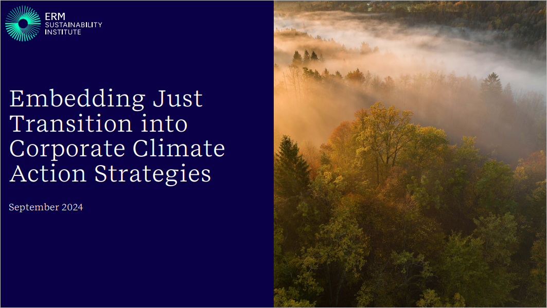 Embedding Just Transition into Corporate Climate Action Strategies cover