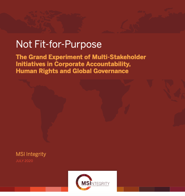 Not Fit-for-Purpose: The Grand Experiment of Multi-Stakeholder Initiatives in Corporate Accountability, Human Rights and Global Governance cover