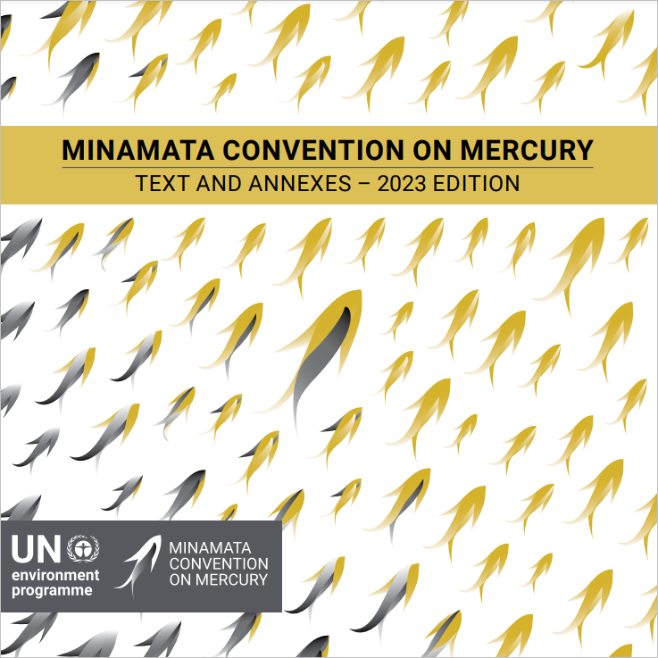The Minamata Convention on Mercury cover