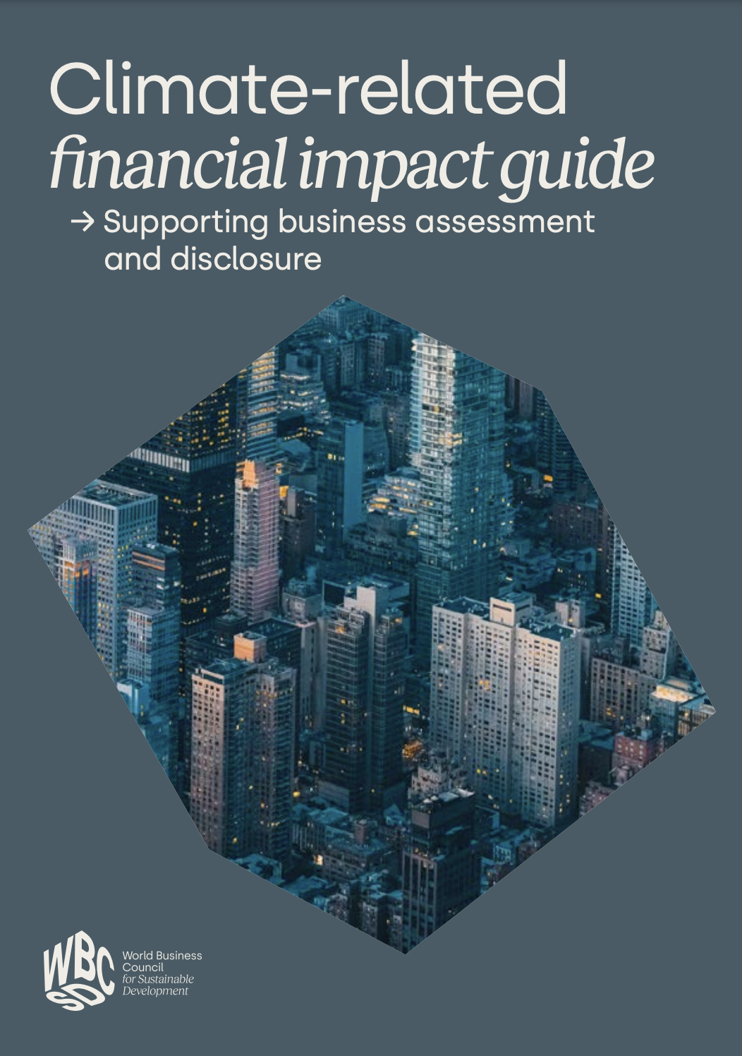 Climate-related financial impact guide: Supporting business assessment and disclosure cover