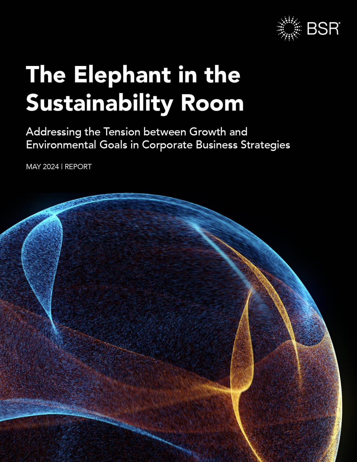 The Elephant in the Sustainability Room: Addressing the Tension between Growth and Environmental Goals in Corporate Business Strategies cover