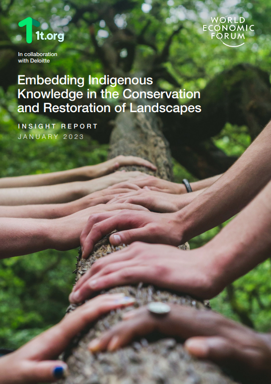 Embedding Indigenous Knowledge in the Conservation and Restoration of Landscapes cover
