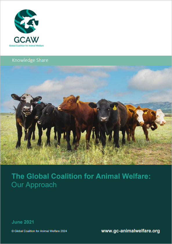 The Global Coalition for Animal Welfare: Our Approach cover