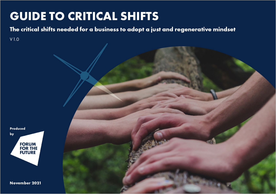 Guide to Critical Shifts: the critical shifts needed for a business to adopt a just and regenerative mindset cover