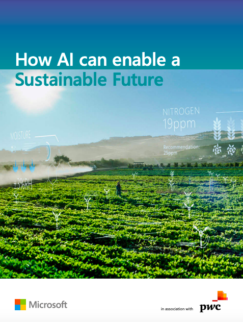 How AI can enable a sustainable future cover