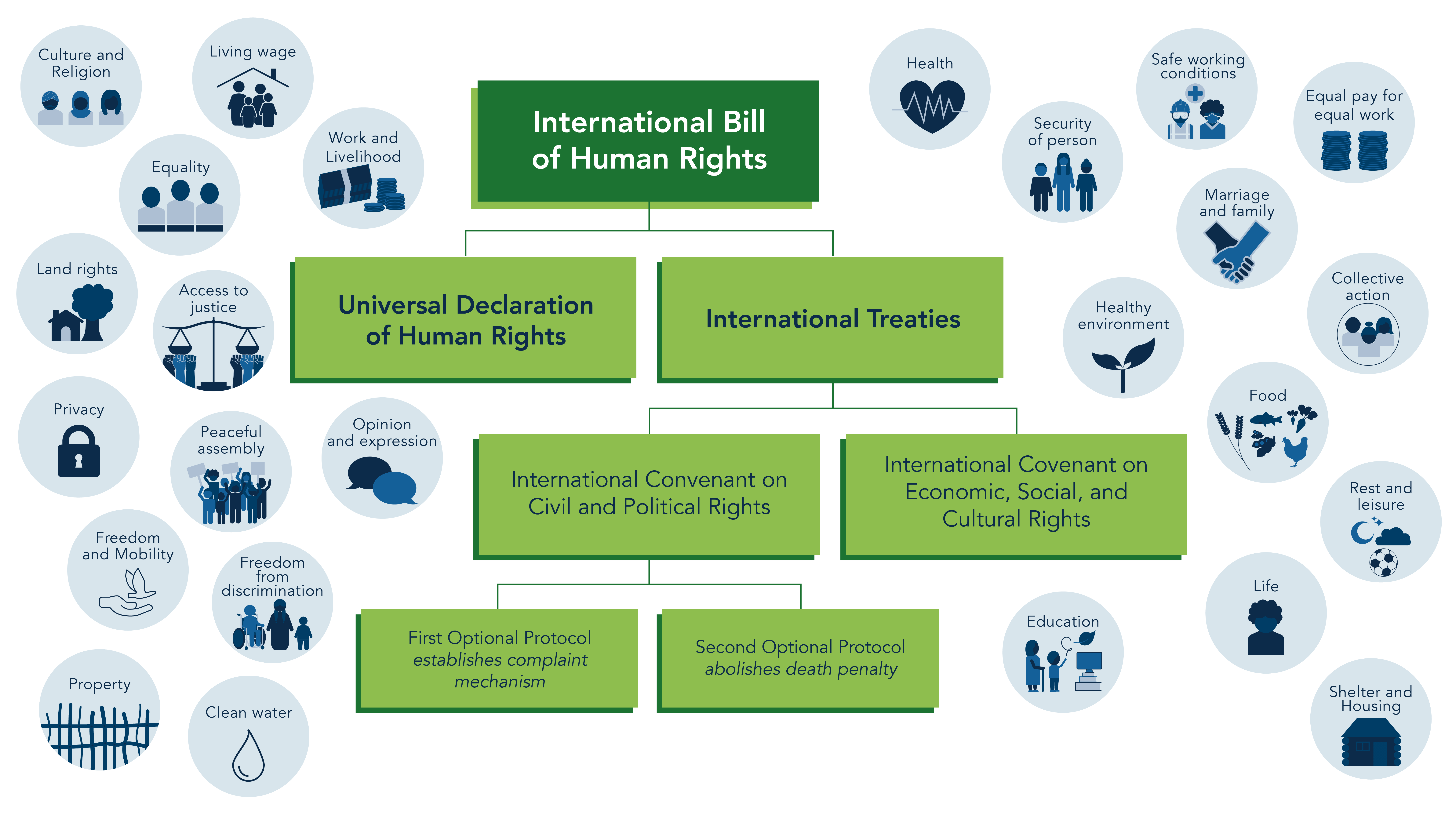 International bill of human rights