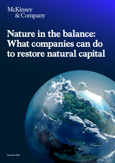 Nature in the balance: What companies can do to restore natural capital cover