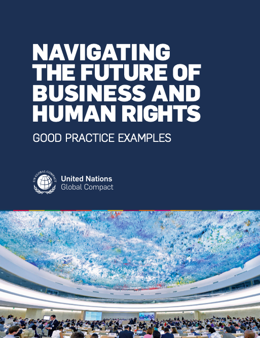 Navigating the Future of Business and Human Rights: Good Practice Examples cover
