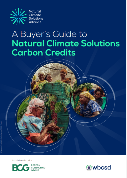 A Buyer's Guide to Natural Climate Solutions Carbon Credits cover