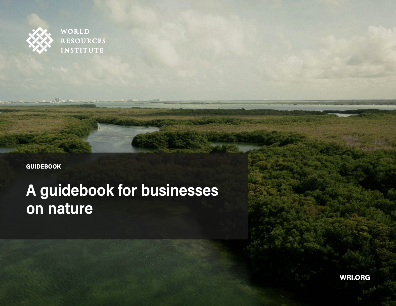 A Guidebook for Business on Nature cover