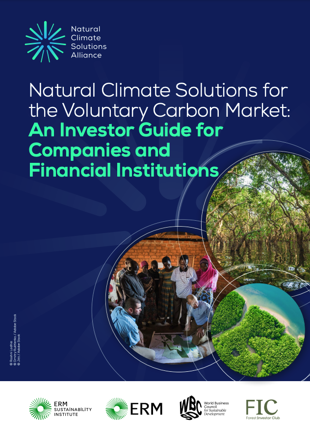 Natural Climate Solutions for the Voluntary Carbon Market: An Investor Guide for Companies and Financial Institutions cover