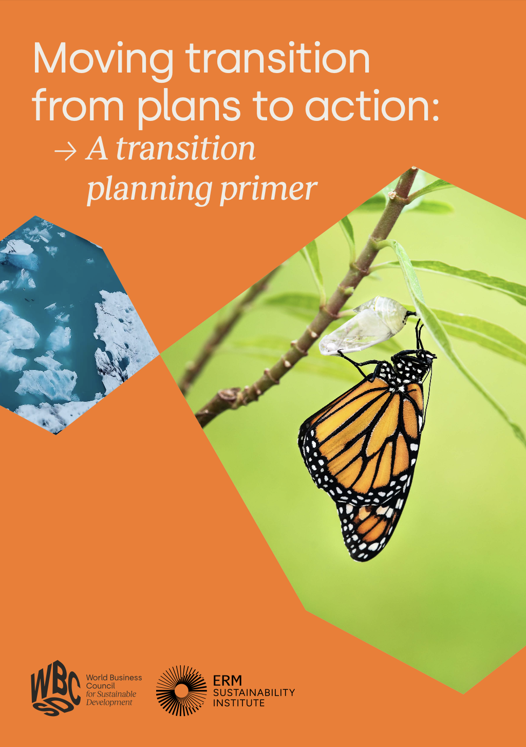 Moving transition from plans to action: A transition planning primer cover