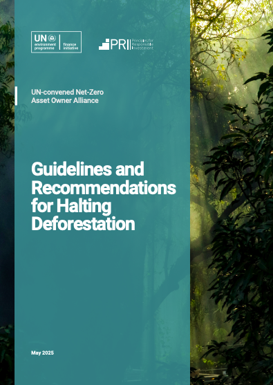 Guidelines and Recommendations for Halting Deforestation cover