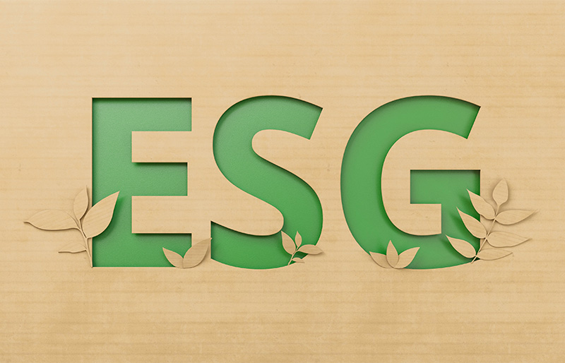 Overseeing environmental, social and governance (ESG) matters: A framework for boards cover