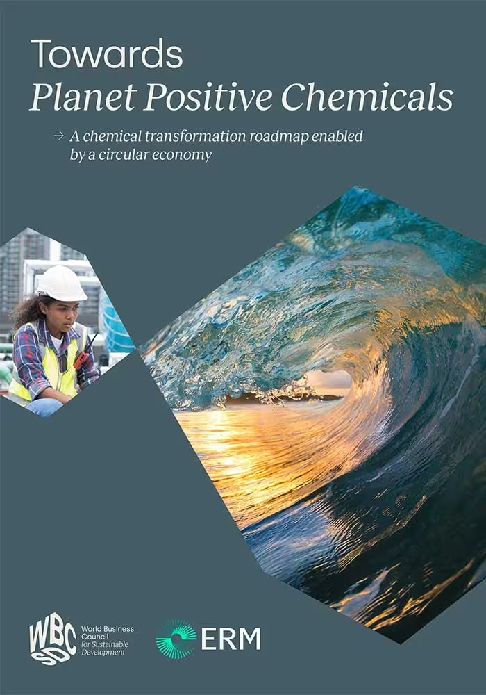 Towards Planet Positive Chemicals: A Chemical Transformation Roadmap  cover