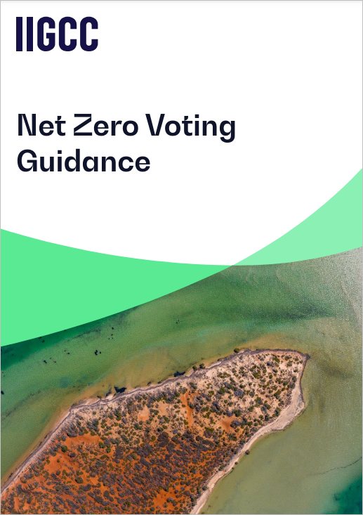 Net Zero Voting Guidance cover