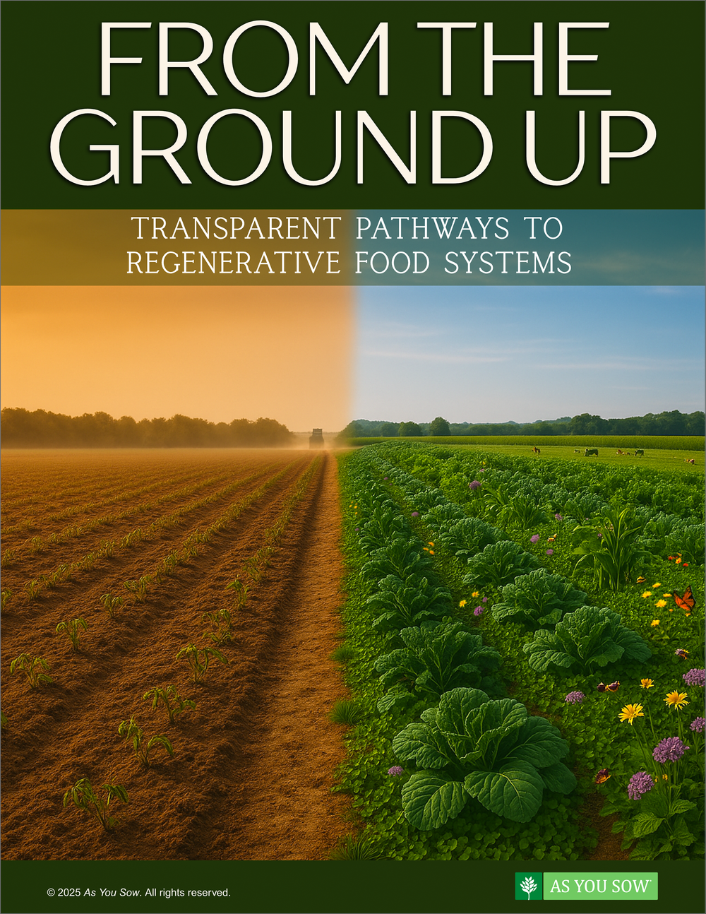 From the Ground Up: Transparent Pathways to Regenerative Food Systems cover