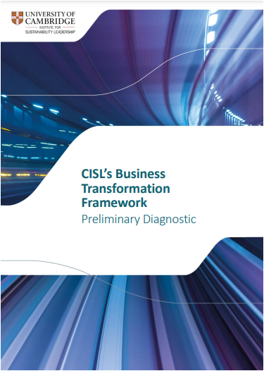 CISL’s Business Transformation Framework: Preliminary Diagnostic cover