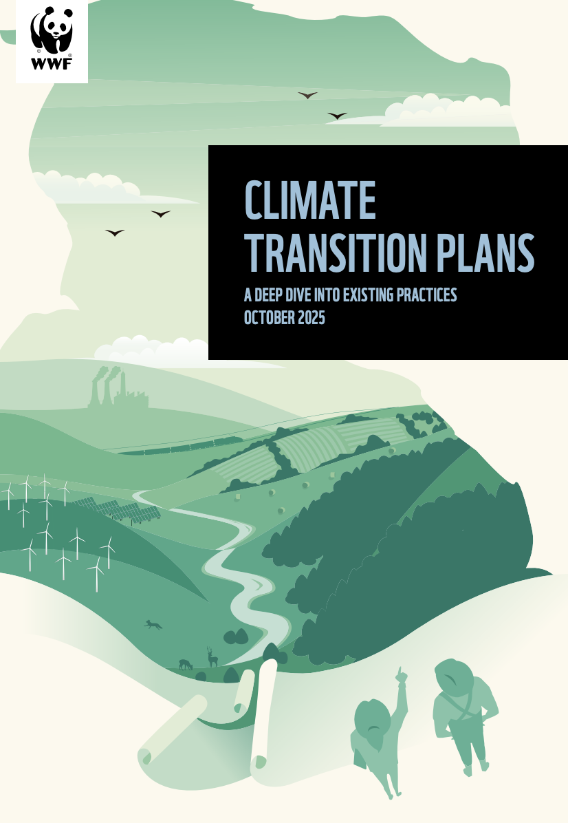 Climate Transition Plans: A Deep Dive into Existing Practices cover