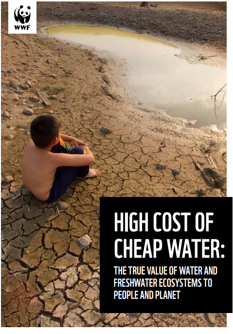 High Cost of Cheap Water: The True Value of Water and Freshwater Ecosystems to People and Planet cover