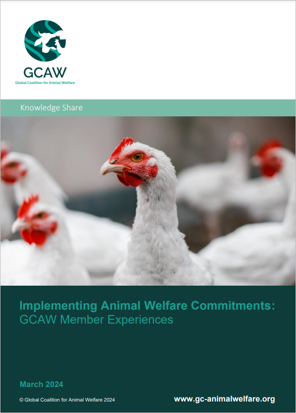 Implementing Animal Welfare Commitments: GCAW Member Experiences cover