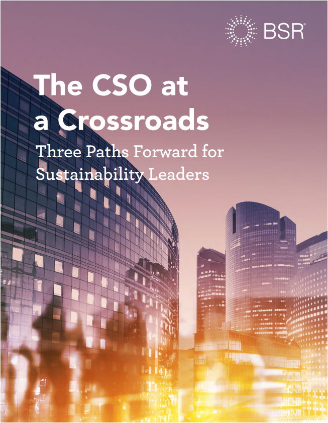 The CSO at a Crossroads: Three Paths Forward for Sustainability Leaders cover