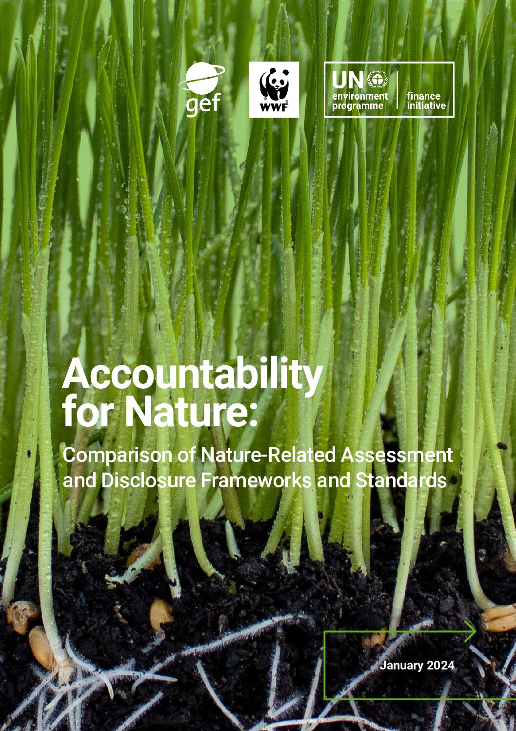 Accountability for Nature: Comparison of Nature-Related Assessment and Disclosure Frameworks and Standards cover