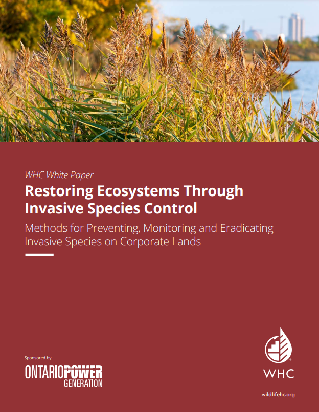 Restoring Ecosystems Through Invasive Species Control: Methods for Preventing, Monitoring, and Eradicating Invasive Species on Corporate Lands cover