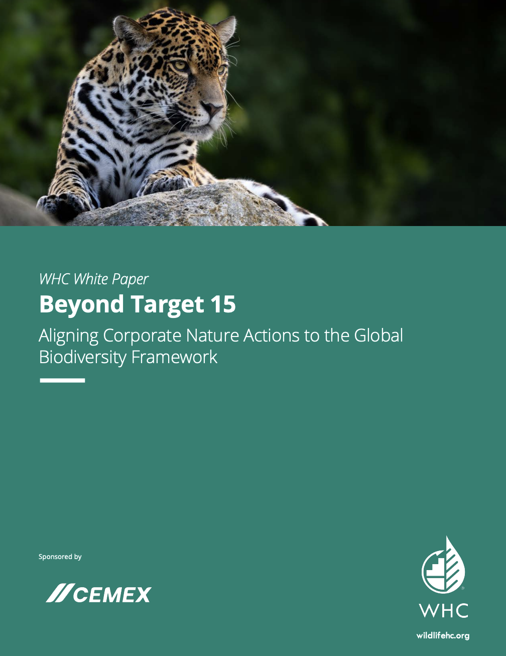 Beyond Target 15: Aligning Corporate Nature Actions to the Global Biodiversity Framework cover