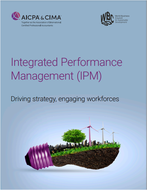 Integrated Performance Management (IPM): Driving strategy, engaging workforces cover