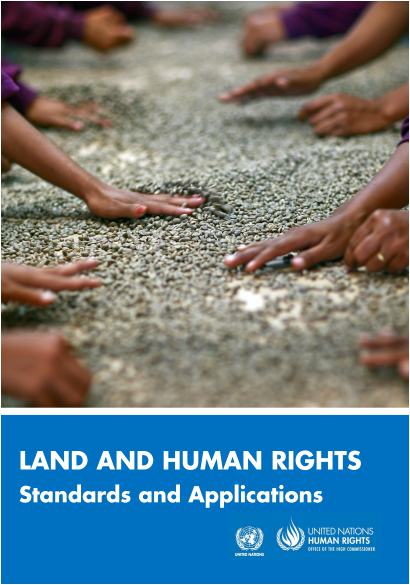 Land and Human Rights: Standards and Applications cover