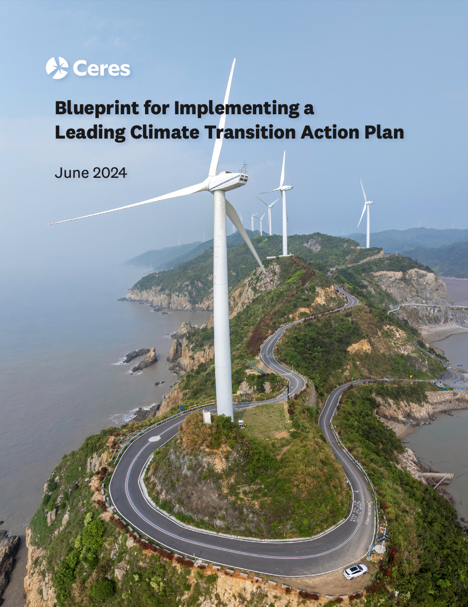 Blueprint for Implementing a Leading Climate Transition Action Plan cover