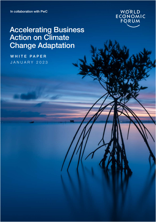 Accelerating Business Action on Climate Change Adaptation cover