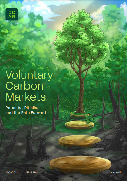 Voluntary Carbon Markets: Potential, Pitfalls, and the Path Forward cover