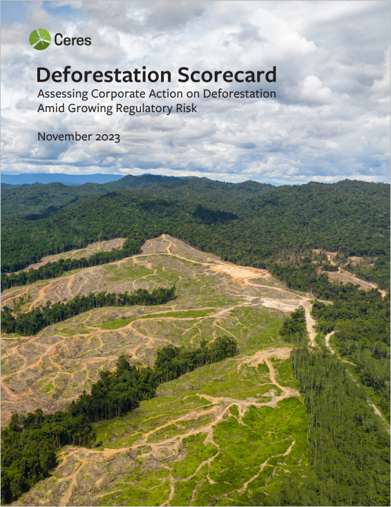 Deforestation Scorecard: Assessing Corporate Action on Deforestation Amid Growing Regulatory Risk cover
