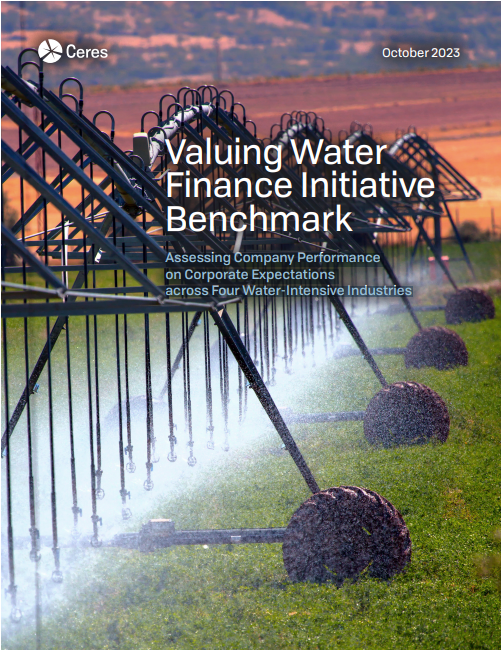 Valuing Water Finance Initiative Benchmark: Assessing Company Performance on Corporate Expectations across Four Water-Intensive Industries cover