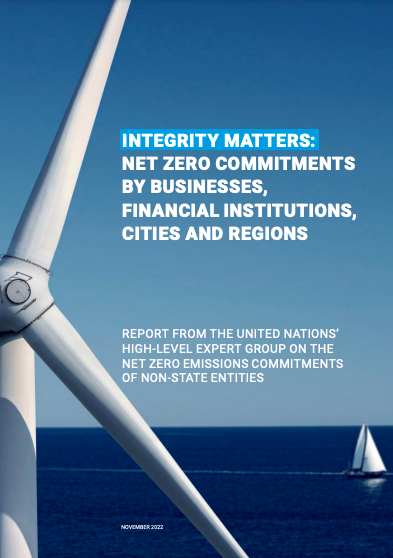  Integrity Matters: Net zero commitments by non-state entities – A briefing for board directors cover