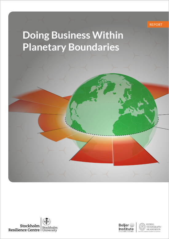 Doing Business Within Planetary Boundaries cover