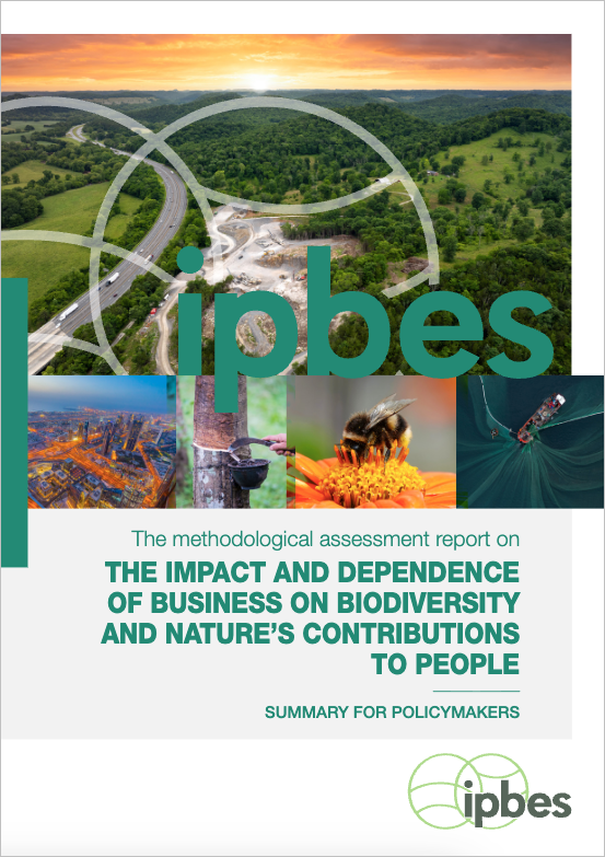 The methodological assessment report on the Impact and Dependence of Business on Biodiversity and Nature's Contributions to People cover