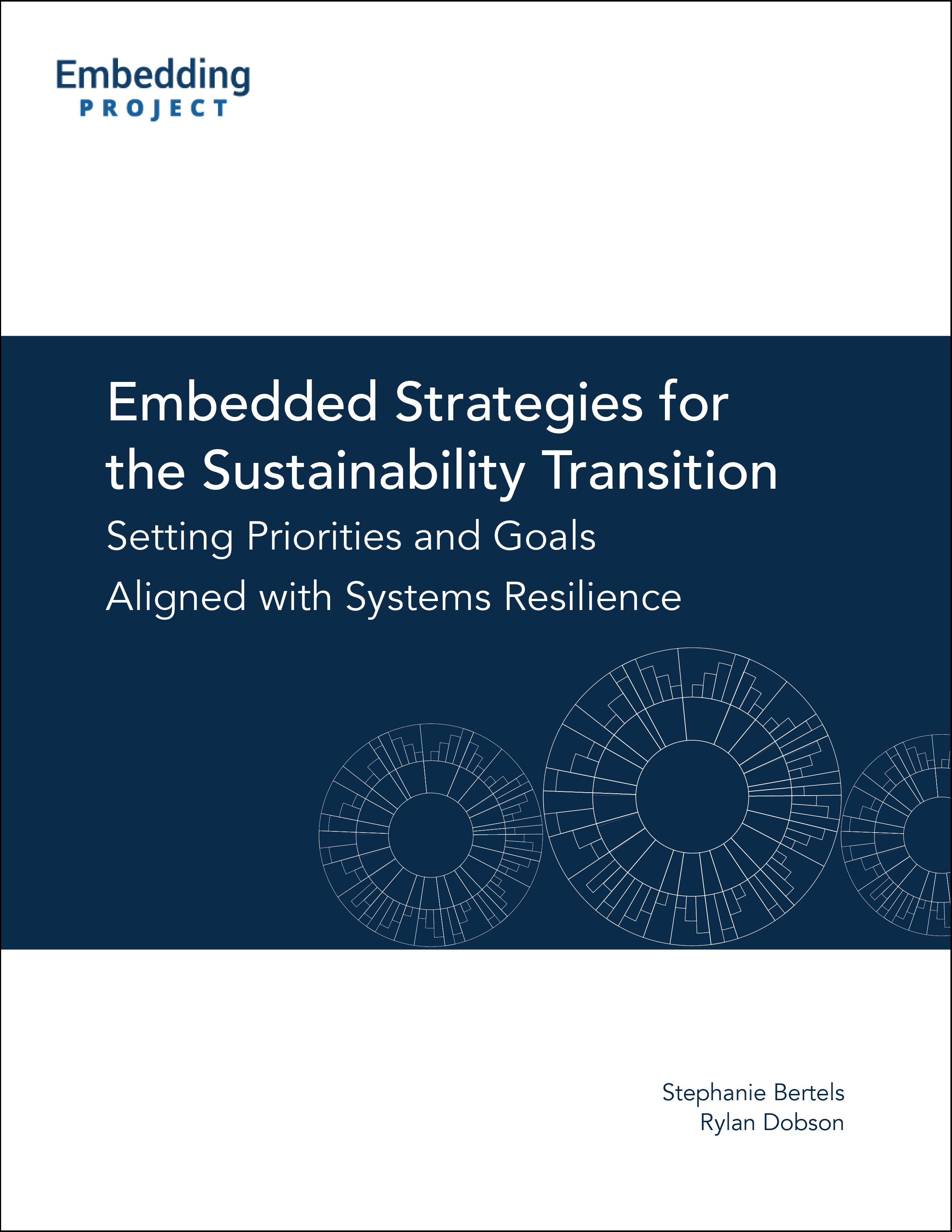 Embedded Strategies for the Sustainability Transition cover