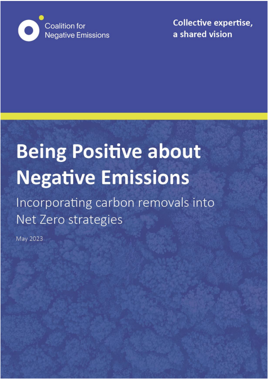 Being Positive about Negative Emissions: Incorporating carbon removals into net zero strategies cover