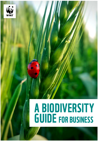 A Biodiversity Guide for Business cover