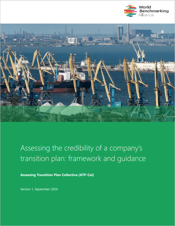 Assessing the credibility of a company’s transition plan: framework and guidance cover