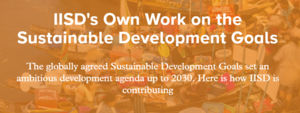 Sustainable Development Goals Interactive Tool cover