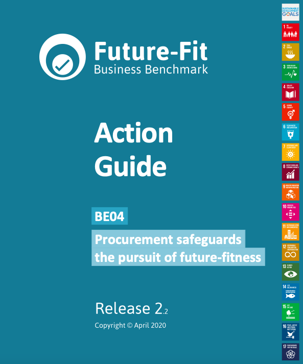 Future-Fit Action Guide: Procurement safeguards the pursuit of future-fitness cover
