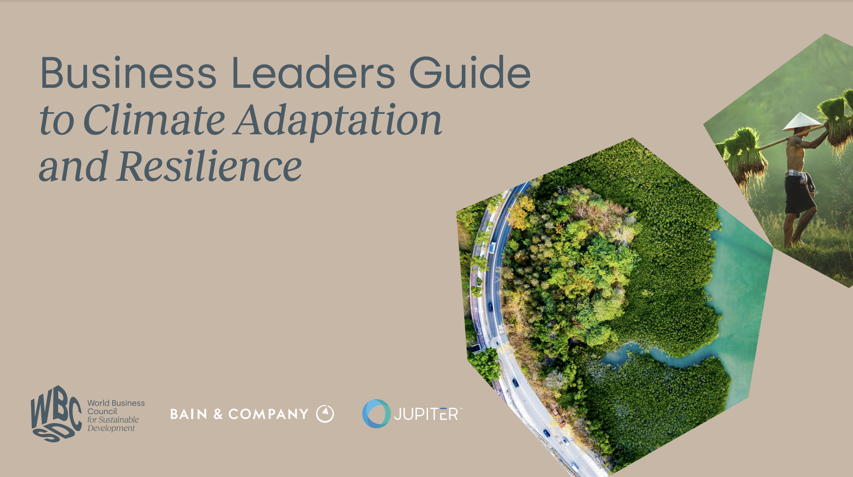 Business Leaders Guide to Climate Adaptation and Resilience cover