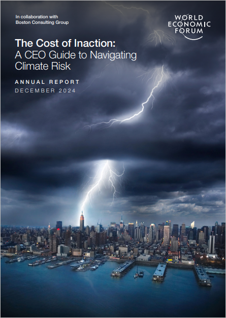 The Cost of Inaction: A CEO Guide to Navigating Climate Risk cover