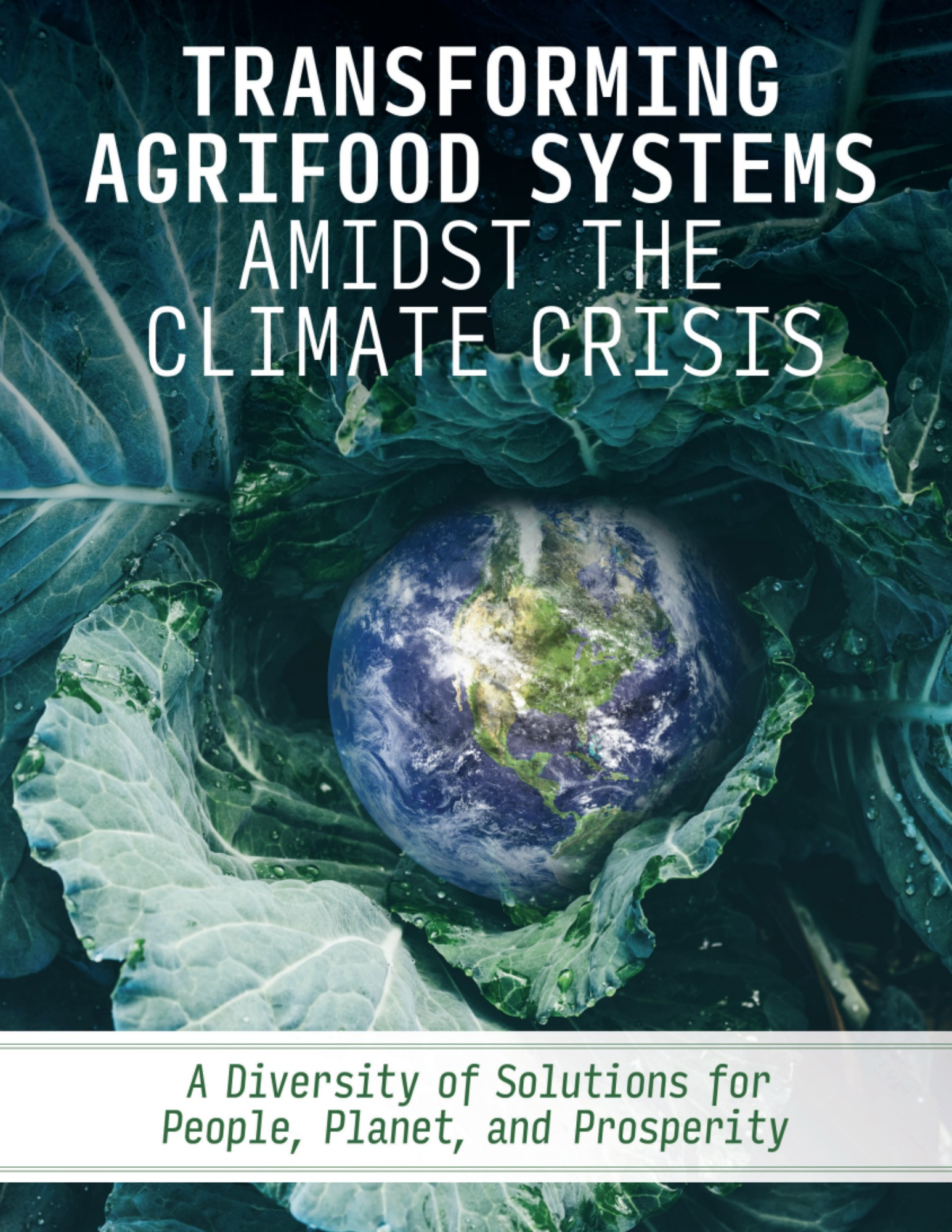 Transforming Agrifood Systems Amidst the Climate Crisis: A Diversity of Solutions for People, Planet, and Prosperity cover
