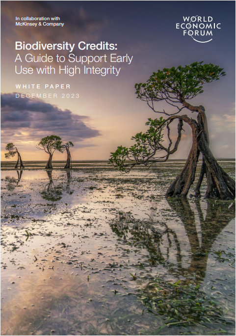 Biodiversity Credits: A Guide to Support Early Use with High Integrity cover